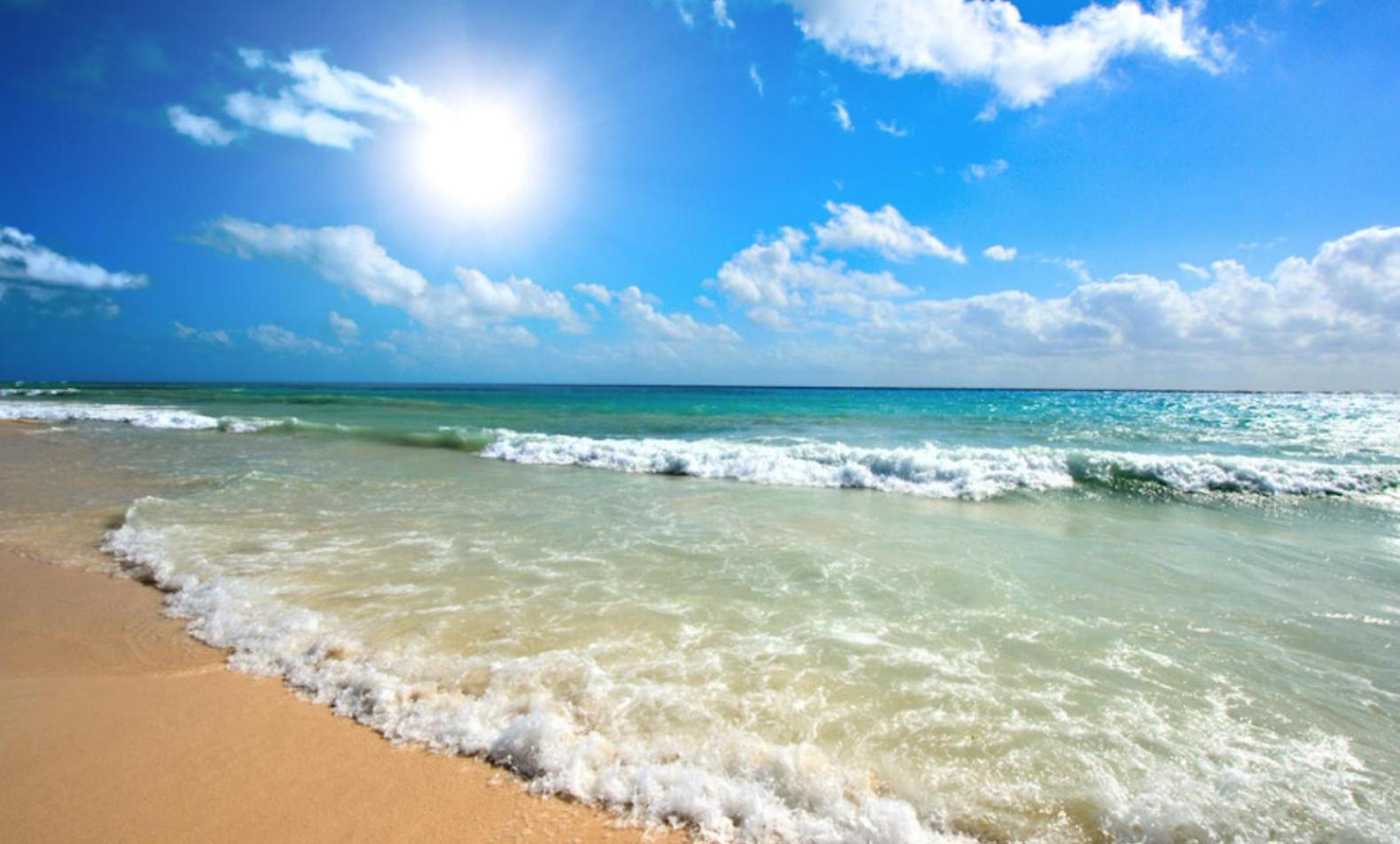 Sunny Beach Plaza 33 Studio Kültér fotó
